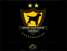 Tablet Screenshot of blacklab.com.br